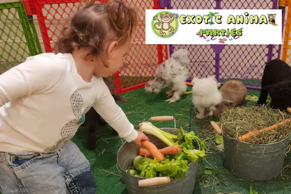Festival Planners: Enhance Family Events with Interactive Animal Experiences