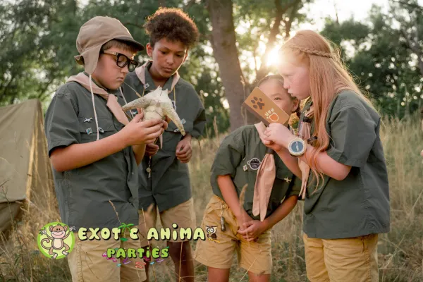 Scout Programs: Adventure Learning with Animal Conservation Education