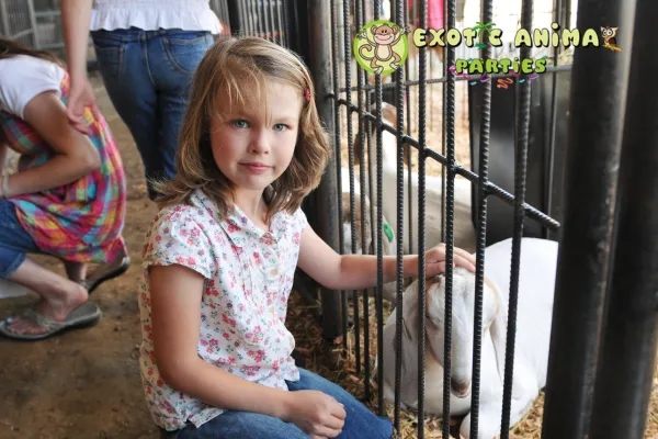 After-School Programs: Engage Students with Animal Interaction