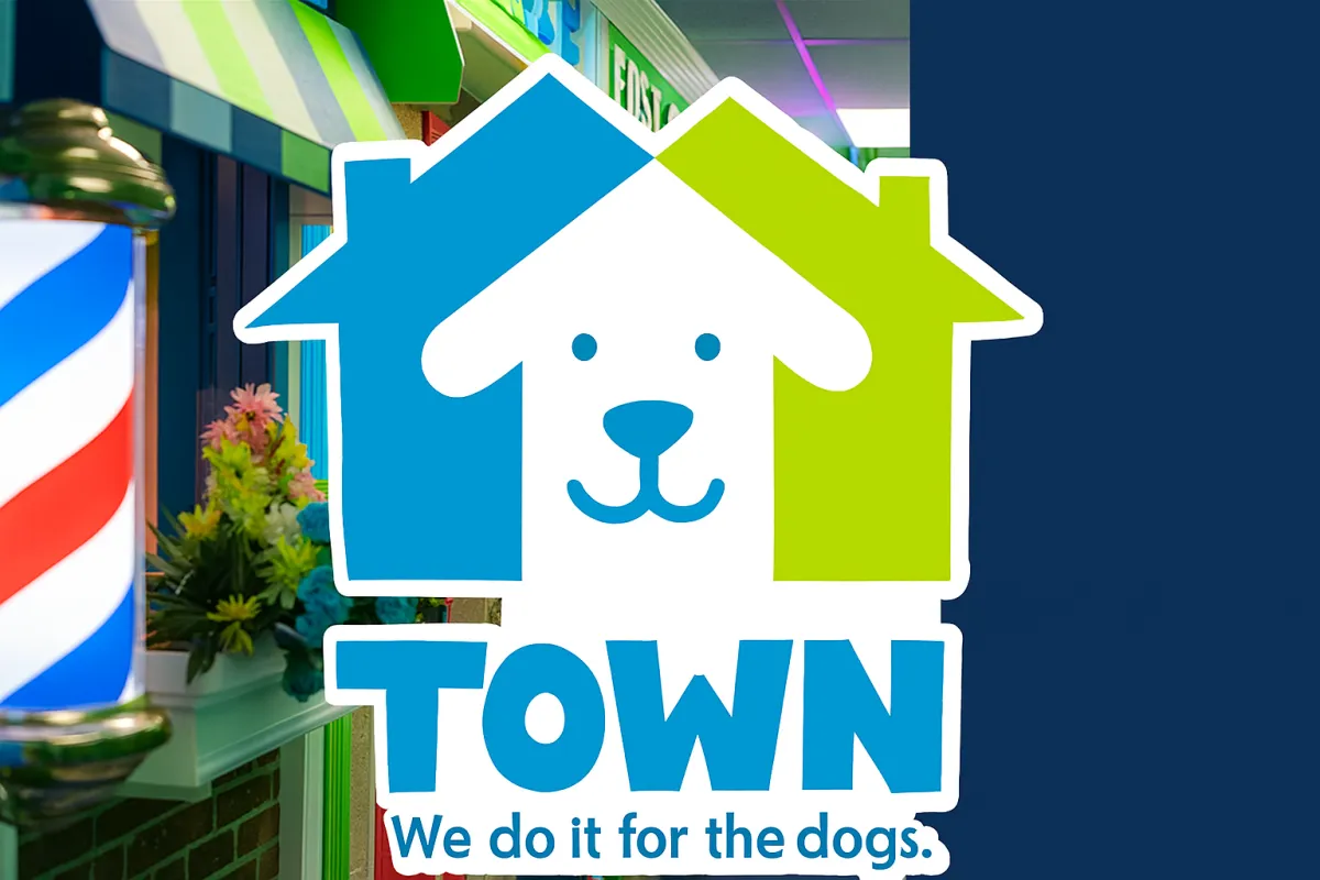 What Is Dog Daycare?