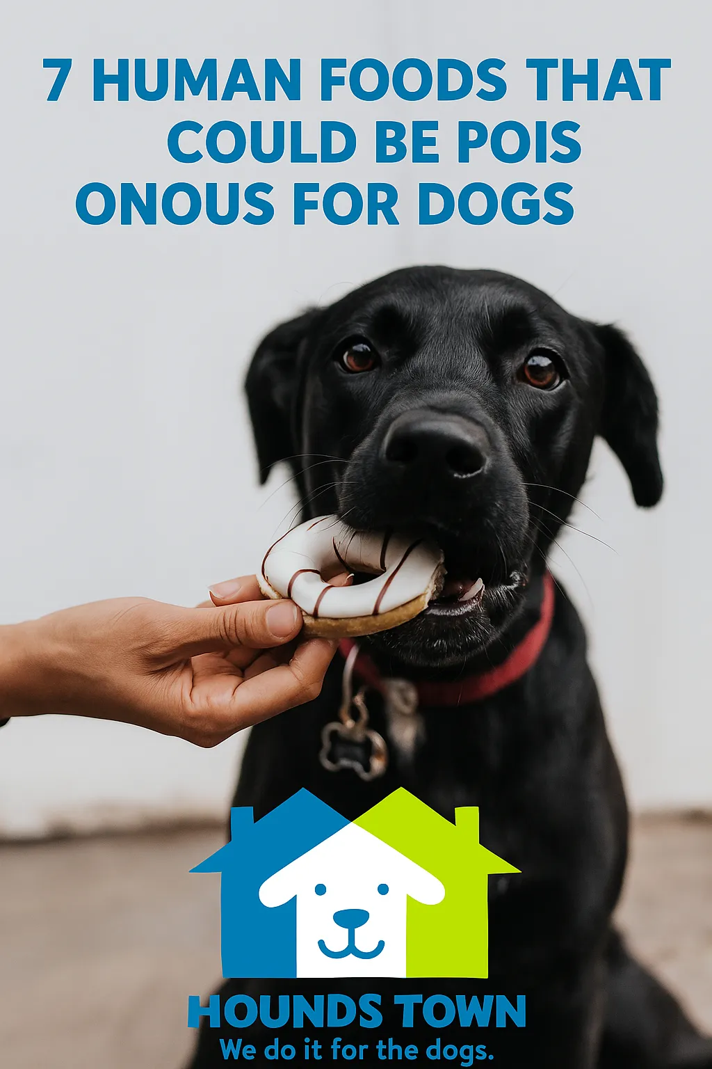 7 Human Foods That Could Be Poisonous for Dogs