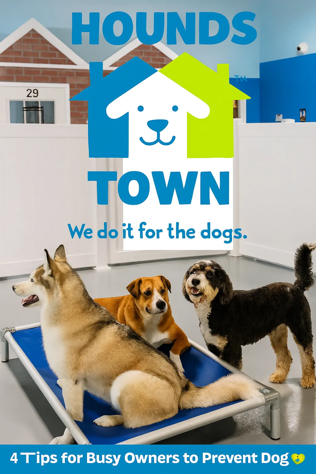 5 Tips for Busy Pet Owners to Prevent Dog Boredom