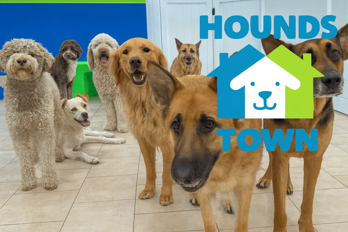 Why Hounds Town Fort Lauderdale Provides the Best Environment for Your Dog