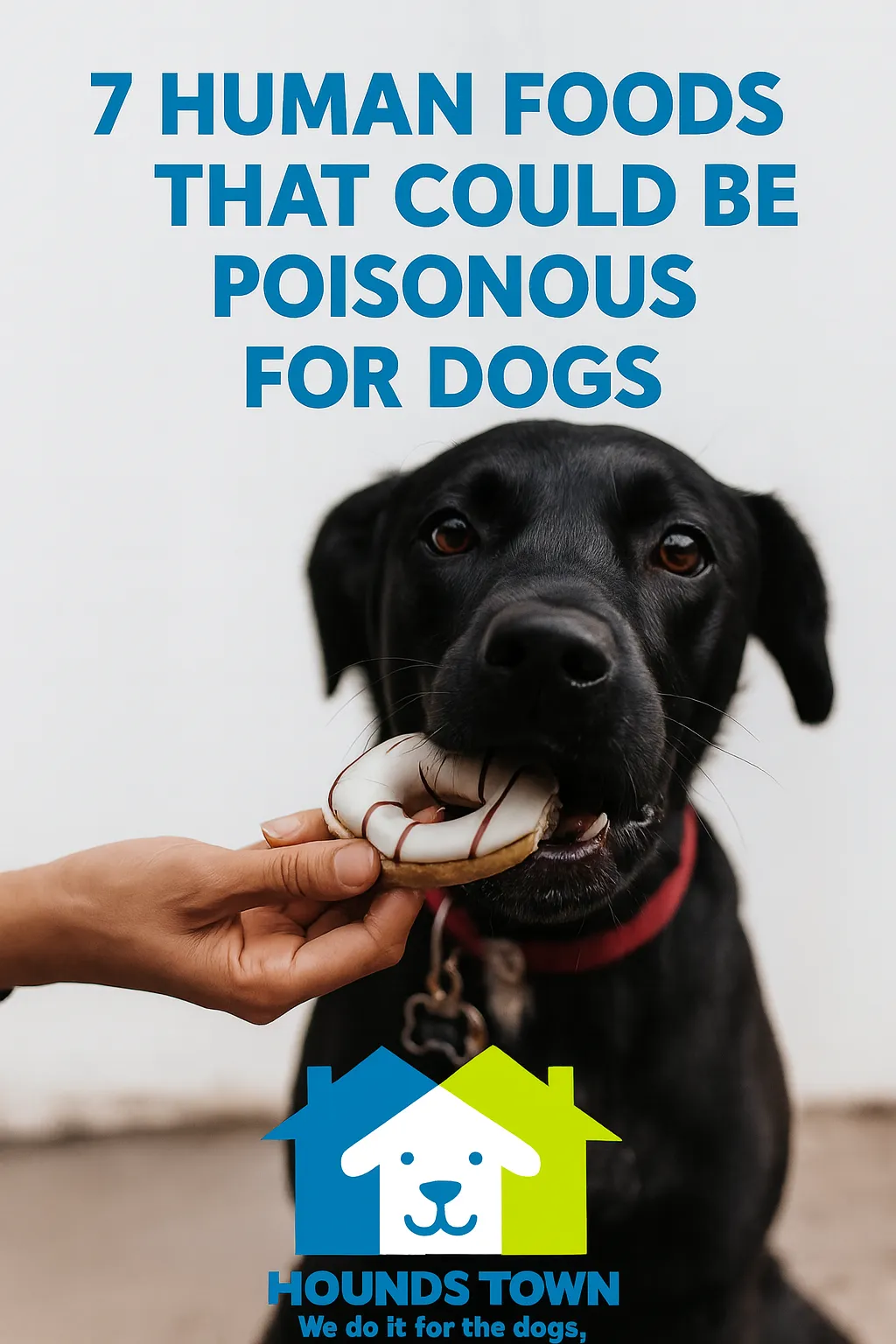7 Human Foods That Could Be Poisonous for Dogs