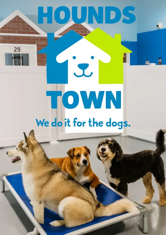 5 Tips for Busy Pet Owners to Prevent Dog Boredom