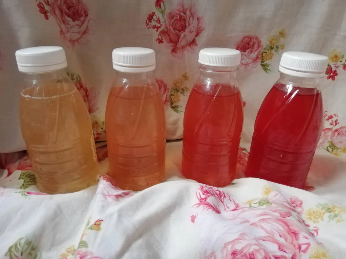 "Kombucha ehk teeseenejoogi tarbimissoovitused" - Marleen Hiiekivi (toitumisnõustaja)
