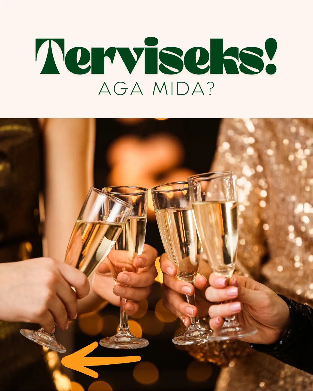 Terviseks! Aga mida? — kampaania tingimused ja lisainfo