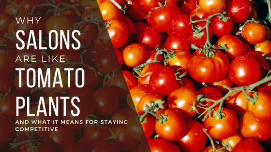 Why salons are like tomato plants