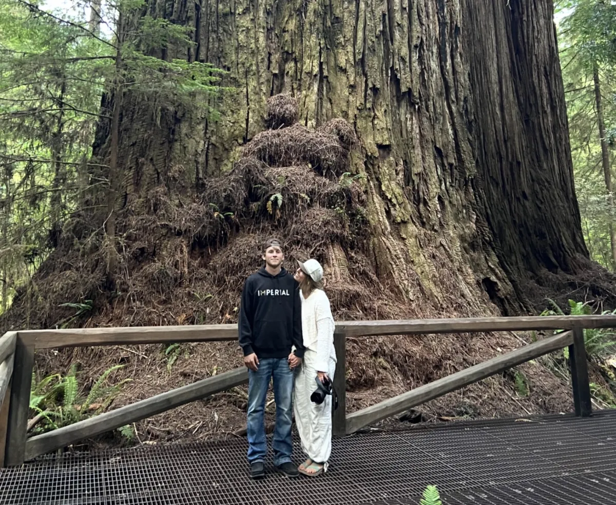 What the Redwoods Taught Me About Marriage
