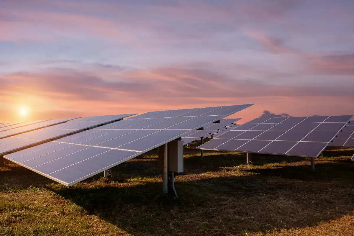 A to Z of Ground-Mounted Solar Panels in Birmingham (2025 Edition)