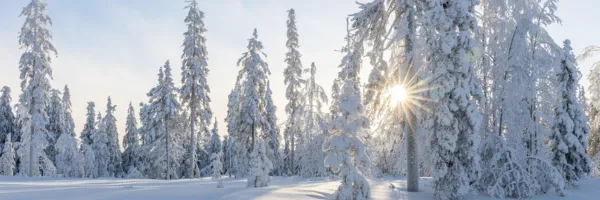 Finding Steadiness in the Winter Season