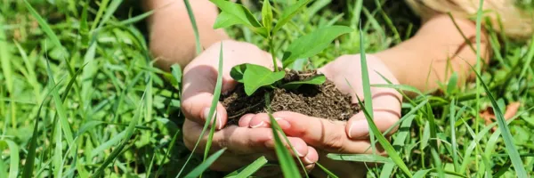 3 Somatic Practices to Bring More Presence Into Your Day