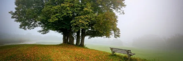 Breath as Anchor: Navigating Stress with Conscious Breathing