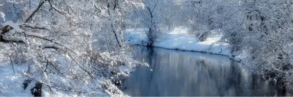 Winter Overwhelm: Why It Happens — and How to Support Your Body