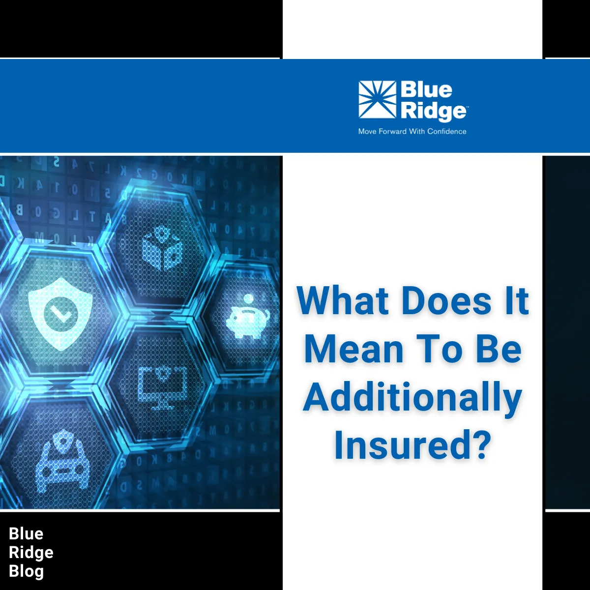 Additionally Insured