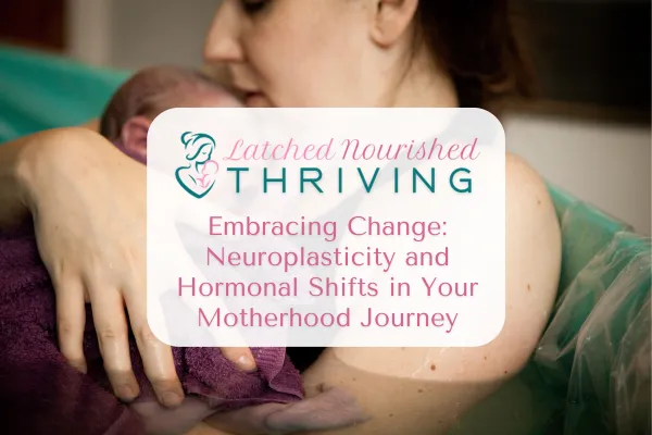 Mother Holding Newborn with Blog Title Overlay