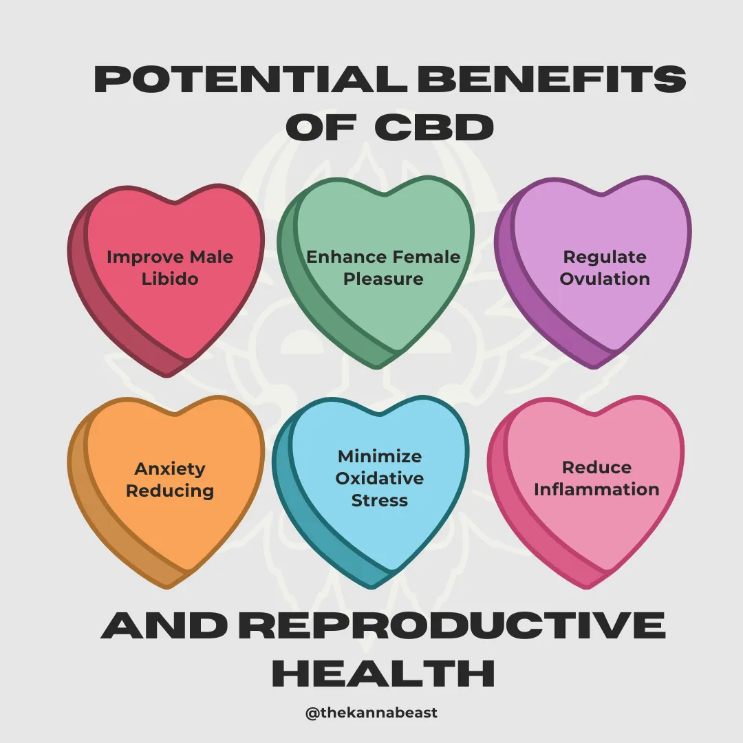 Potential Benefits of CBD and the Reproductive System