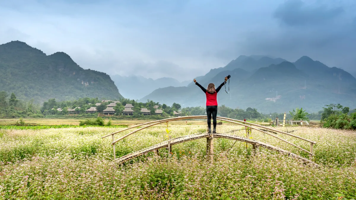 Focus on Process, Not Just Effort: A Better Way to Learn, Work, and Grow