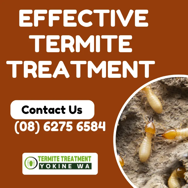 how-to-get-rid-of-termites