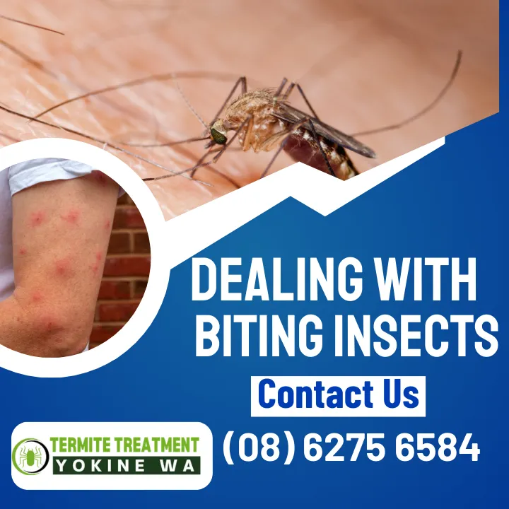 how-to-deal-with-biting-insects