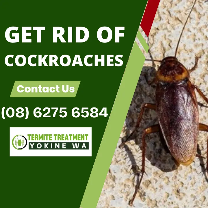 commercial-cockroach-control
