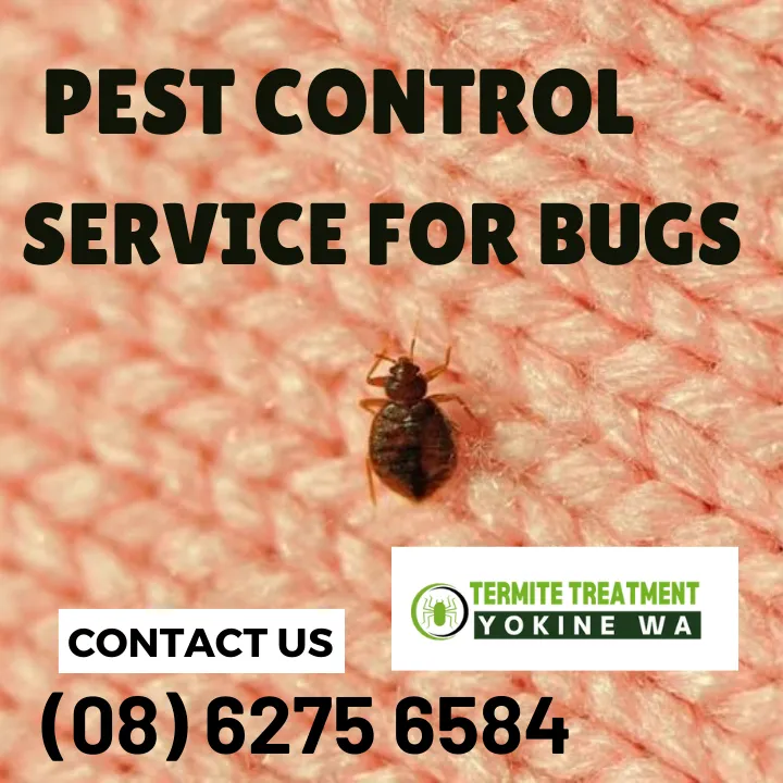 effective-bug-bite-relief