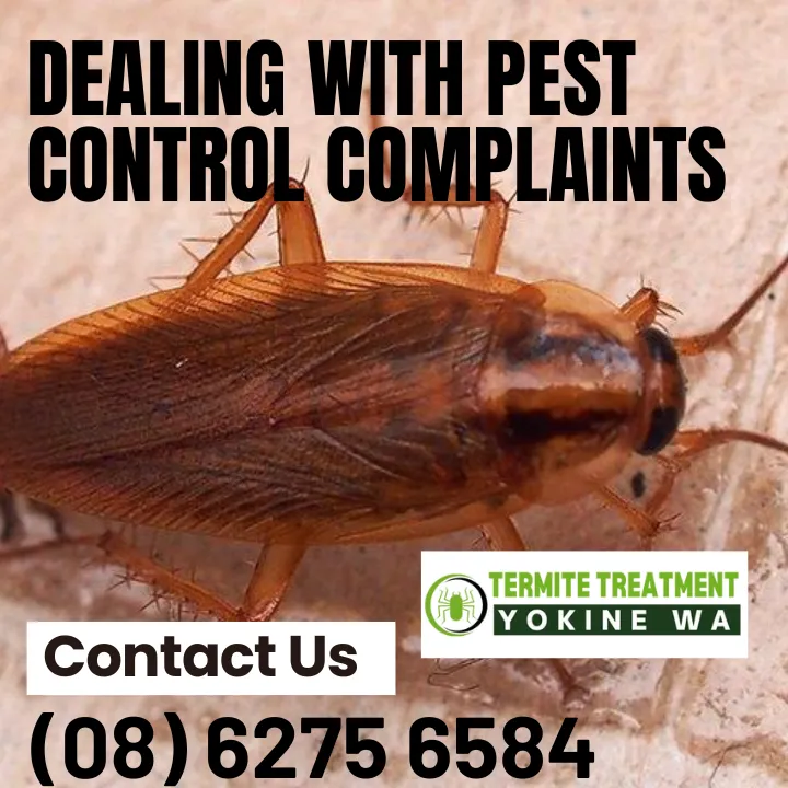 handling-pest-control-complaints
