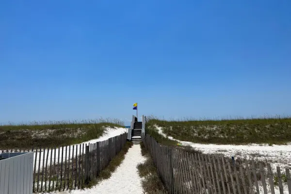 beach flags