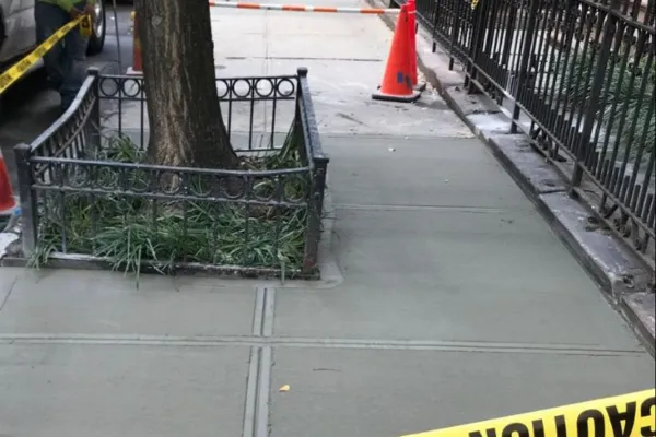 Urban sidewalk repair with fresh broom-finished concrete, marked control joints, tree protected by decorative fence, and caution tape outlining the area. Queens, New York