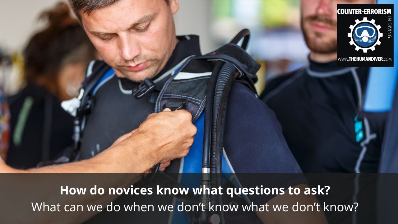 How do novices know what questions to ask?