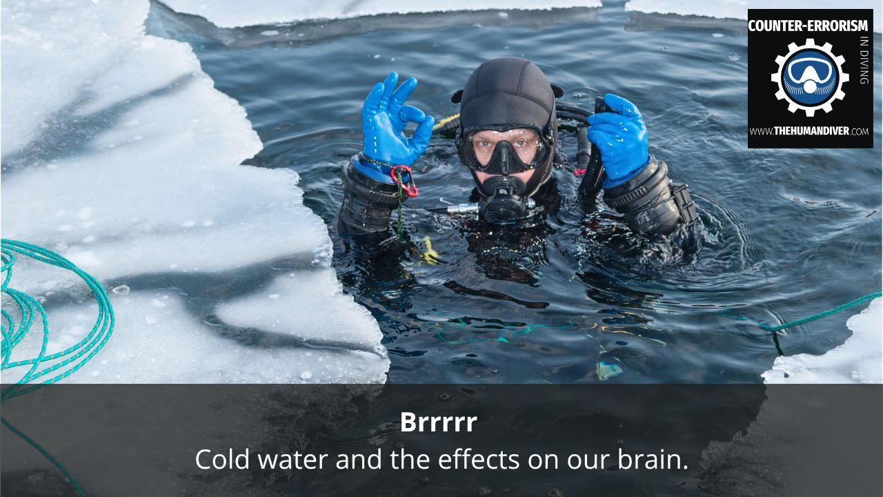 Brrrr- Cold water and the effects on our brain
