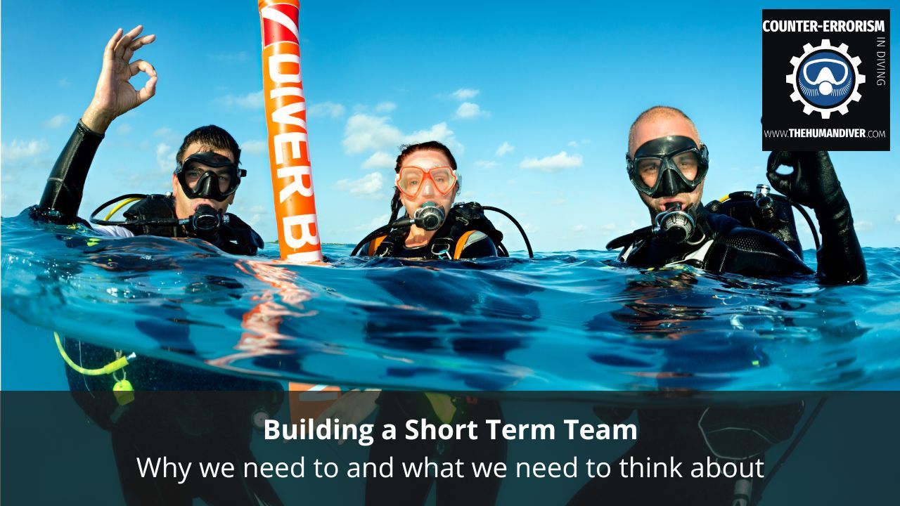 Building a Short Term Team