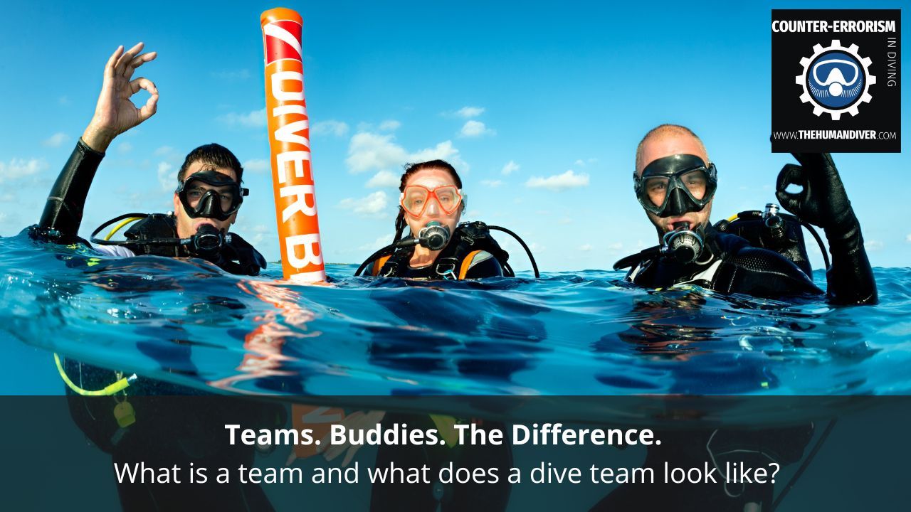 Teams. Buddies. The Difference.