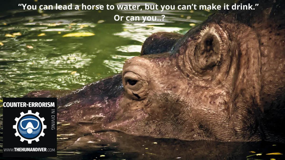 “You can lead a horse to water, but you can’t make it drink.” Or can you..?