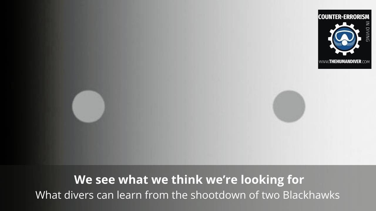 We see what we think we’re looking for