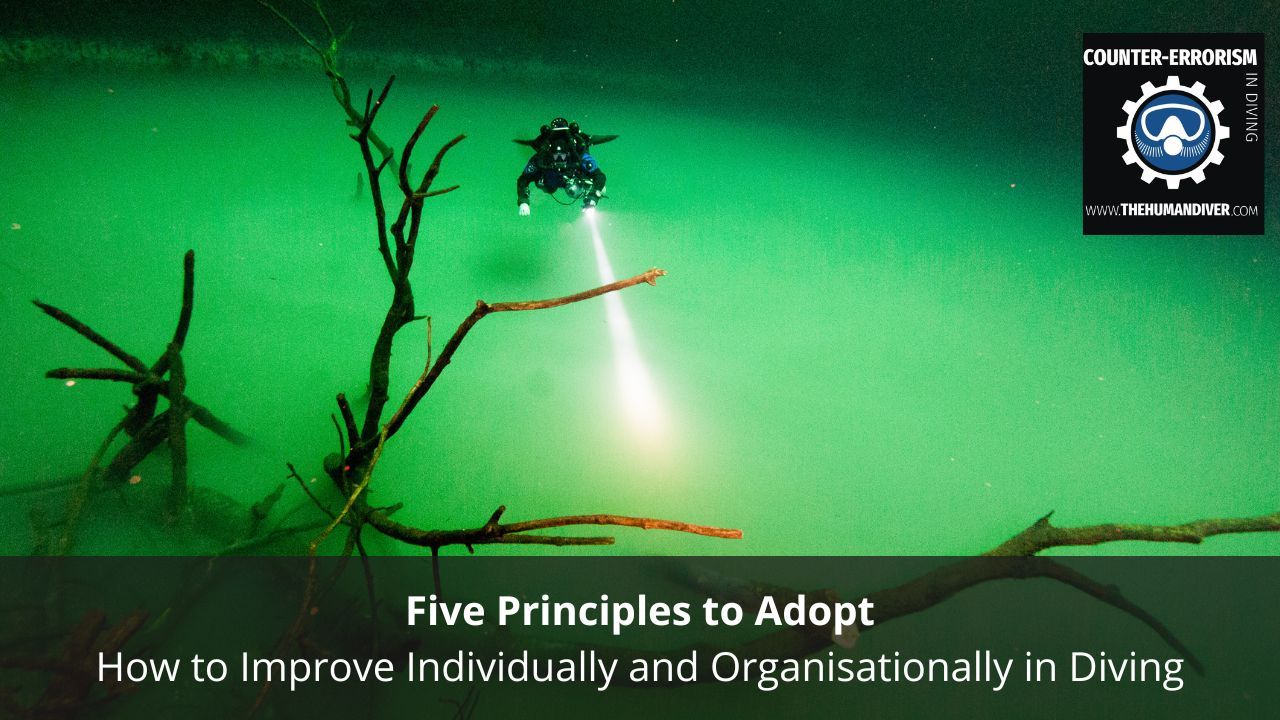 Five Key Principles to Adopt: How to Improve Individually and Organisationally
