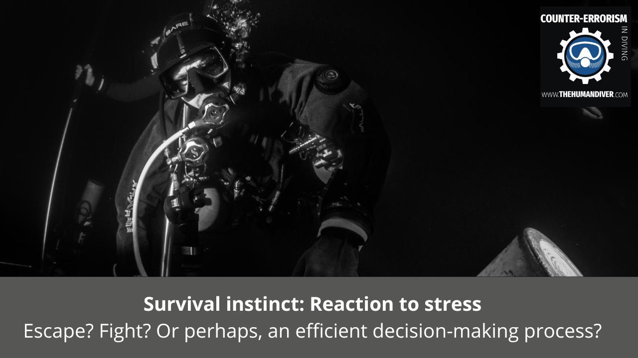 Survival instinct: Reaction to stress