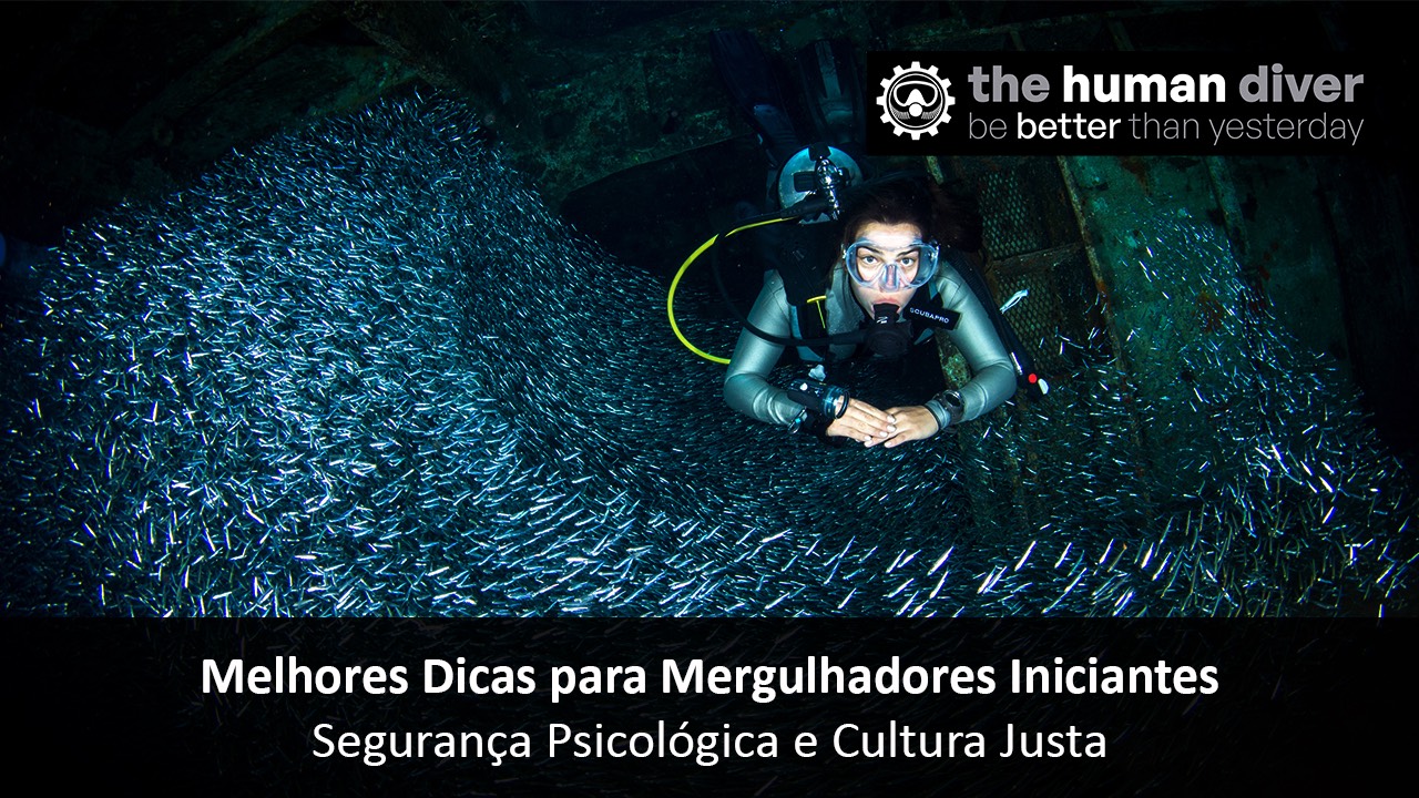 Melhores Dicas para Mergulhadores Iniciantes: Segurança Psicológica e Cultura Justa