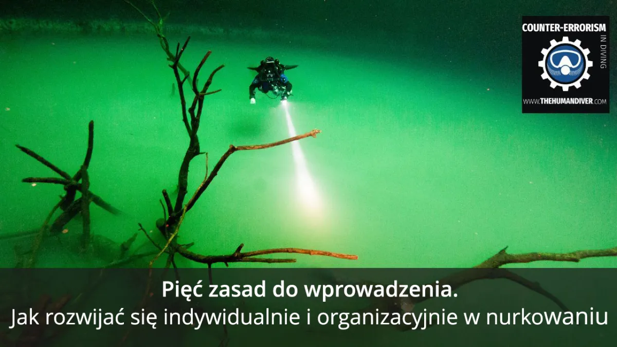 Jak stać się lepszym indywidualnie i organizacyjnie? Pięć kluczowych zasad do zastosowania.