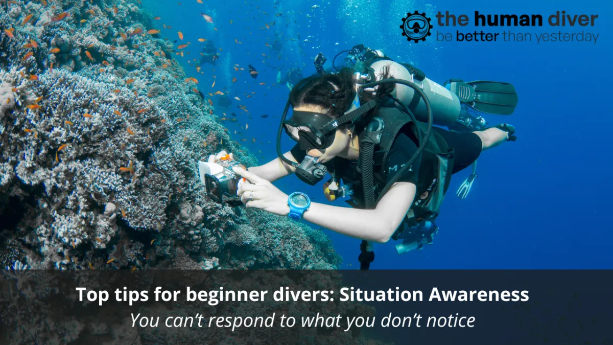Top Tips for Beginner Divers: Situation Awareness