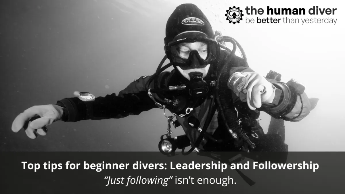 Top Tips for Beginner Divers: Leadership and Followership