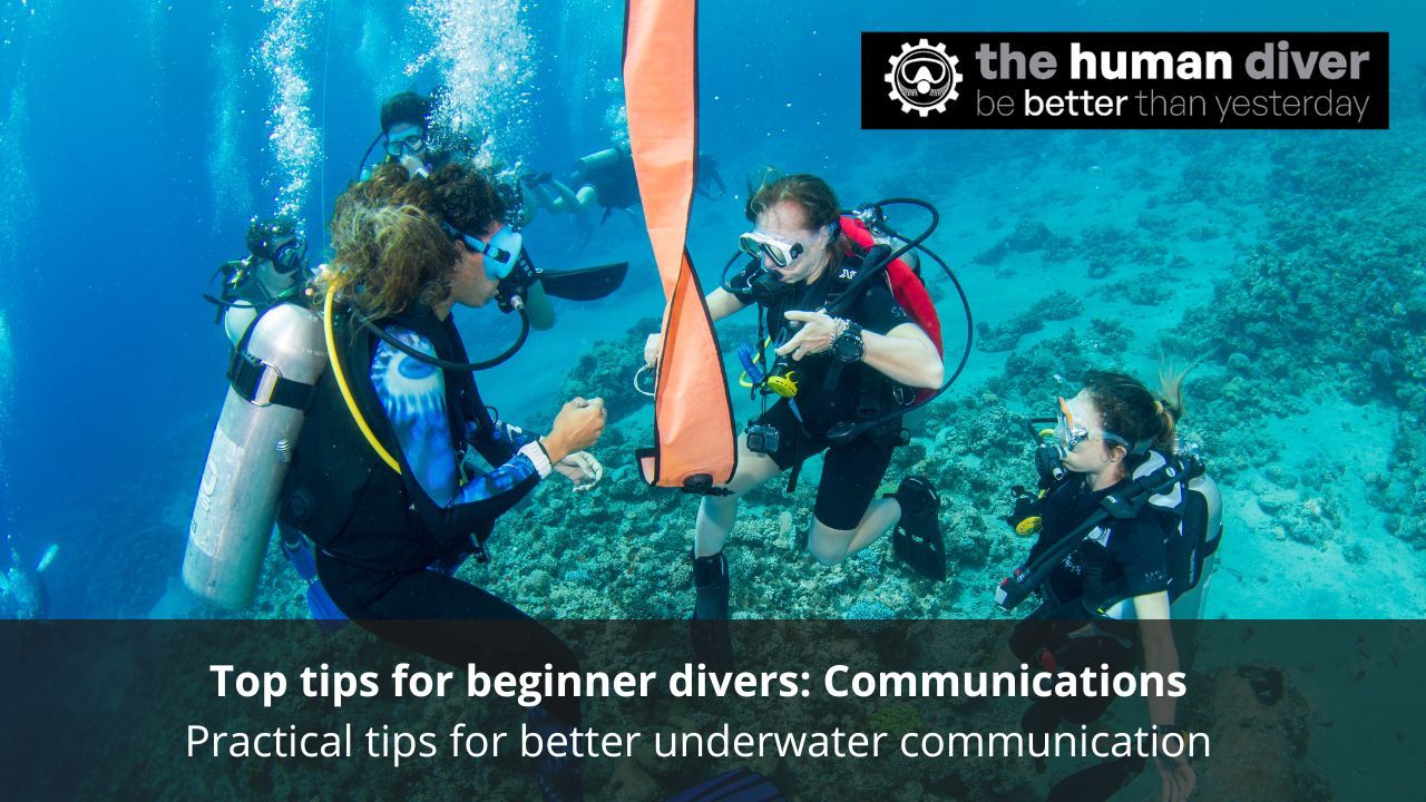 Top tips for Beginner Divers: Communications