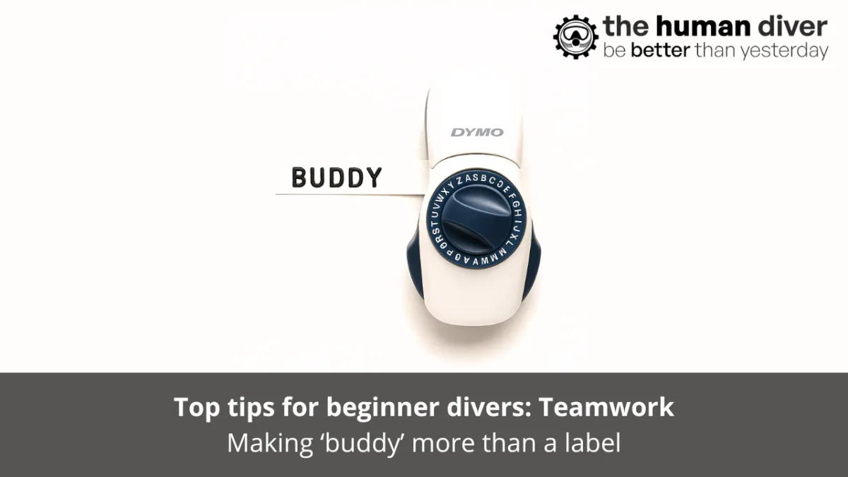 Top Tips for Beginner Divers: Teamwork