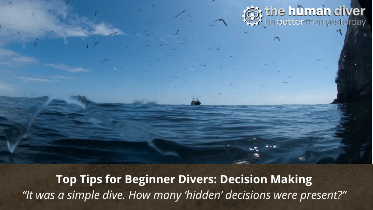 Top Tips for Beginner Divers: Decision Making