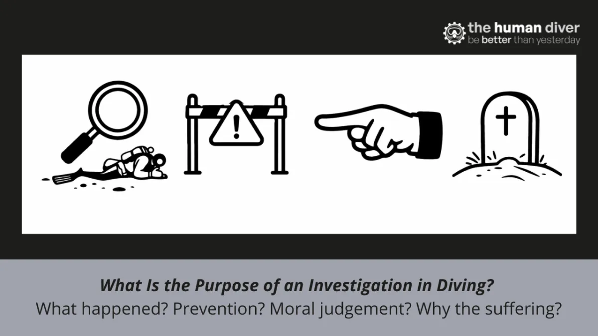 What Is the Purpose of an Investigation in Diving?