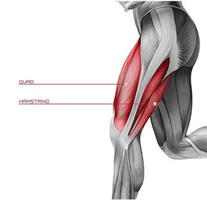 The Importance of Hamstring Strength: Boosting Functionality and Preventing Injuries