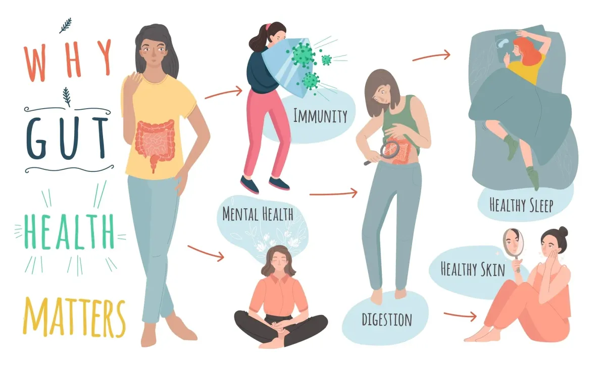 why gut health matters?