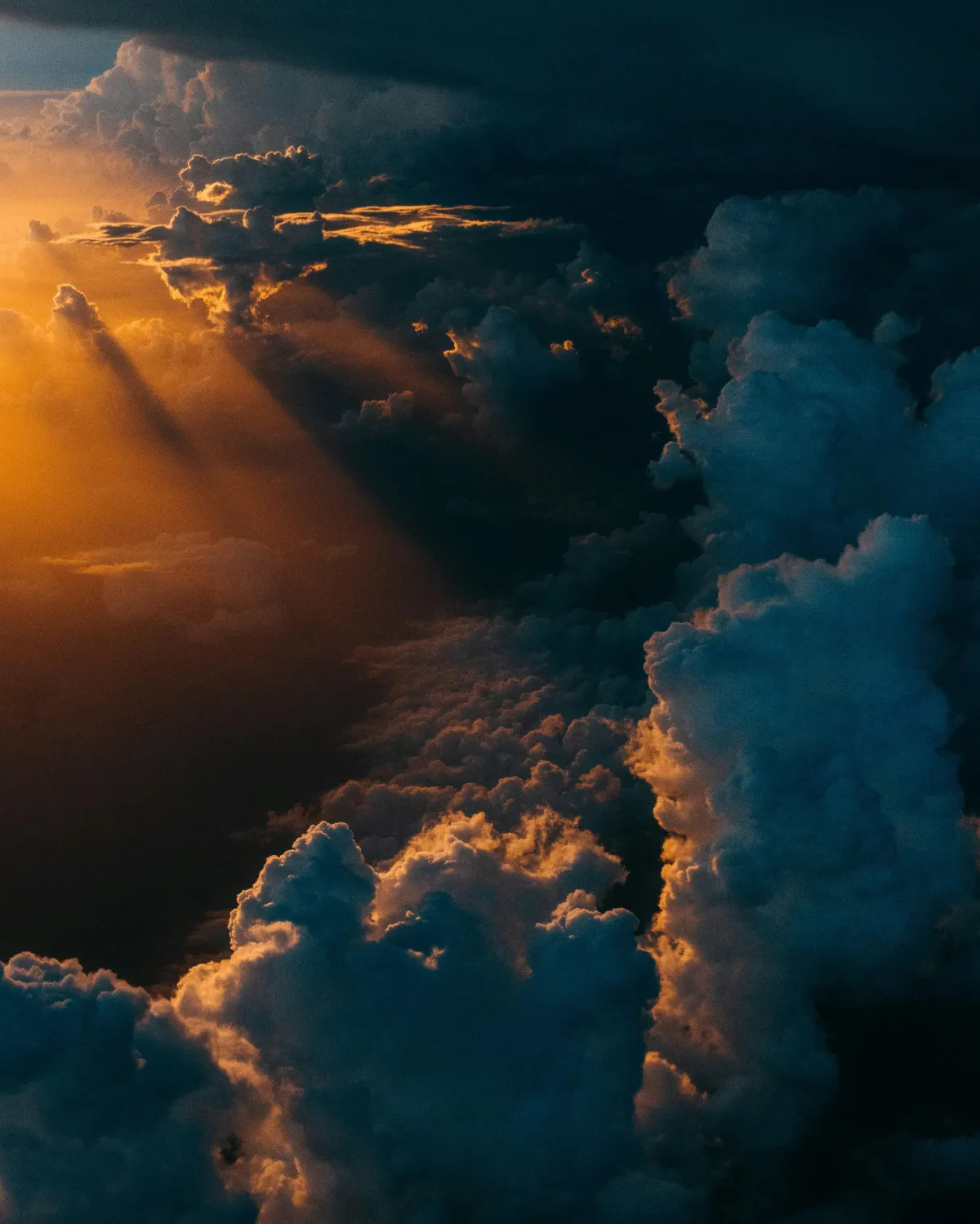 What If Biblical Womanhood Isn’t What You’ve Been Told?

