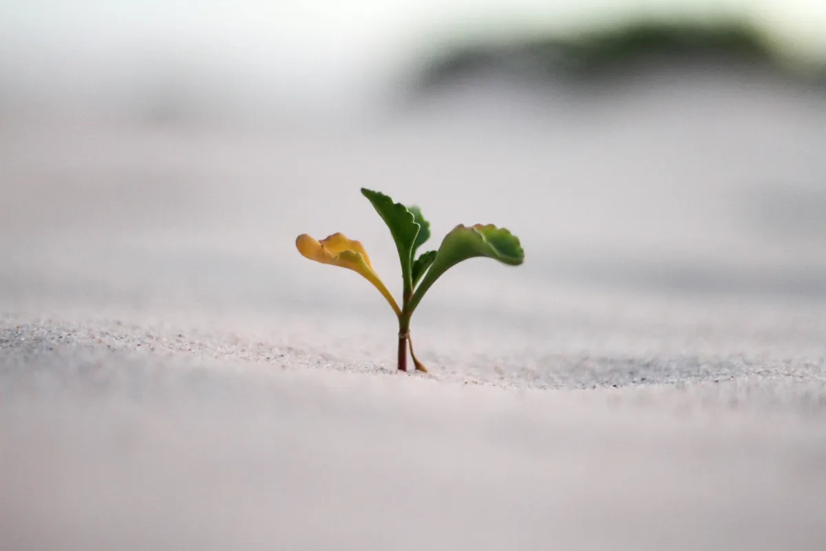 The Roadblock the Church Isn’t Talking About (But Must)

