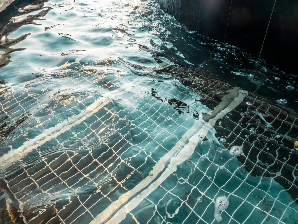 pool cleaning services near me